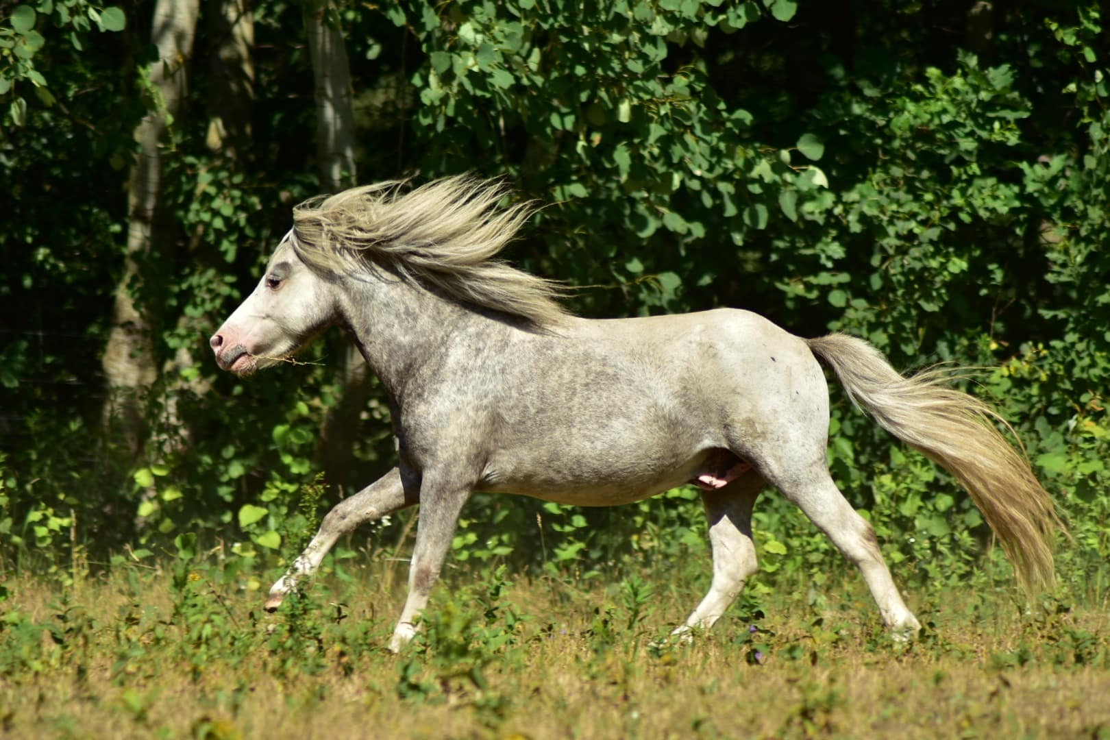 falabella ConAmor BAILANDO SIEMPRE